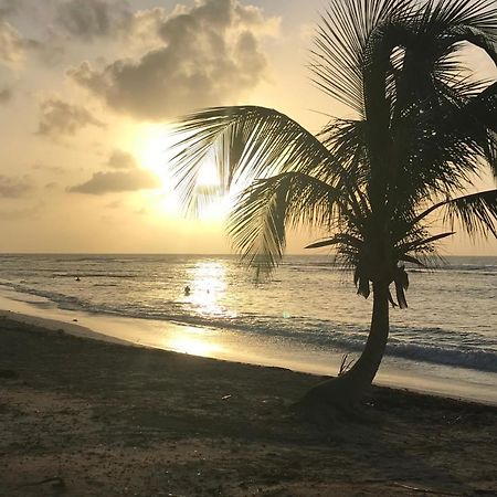 Studio Tahiti Vue Mer سانت فرانسوا المظهر الخارجي الصورة