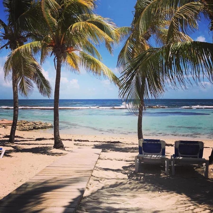 Studio Tahiti Vue Mer سانت فرانسوا المظهر الخارجي الصورة