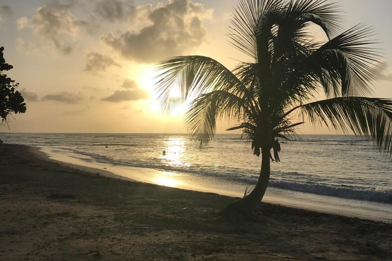Studio Tahiti Vue Mer سانت فرانسوا المظهر الخارجي الصورة